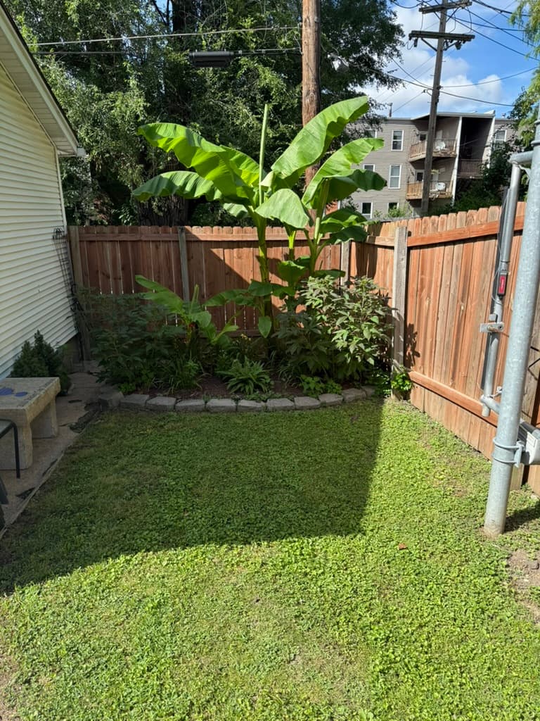 Lawn care and garden cleanup in Lafayette Square