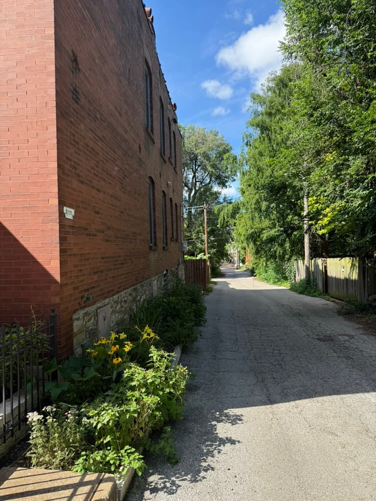 Alleyway cleanup services in St. Louis